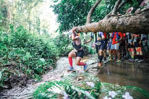 BIB: 
                            <button type="button" onclick="openModal(25466500)" class="btn btn-primary btn-sm float-right btn-popup" data-toggle="modal" data-target=".modal-high-quality">
                        <i class="fas fa-shopping-cart"></i> Add to Cart
                    </button>
                                            <button type="button" onclick="isThisMe(25466500, true)" class="btn btn-success btn-sm float-right btn-popup btn-isme hidden" data-toggle="tooltip" data-placement="bottom" title="นี่คือรูปของคุณใช่ไหม คลิกที่นี่เพื่อเอาเข้าอัลบั้ม">
                        <i class="fas fa-plus"></i> Add to album
                    </button>
                    <button type="button" onclick="isThisMe(25466500, false)" class="btn btn-warning btn-sm float-right btn-popup btn-isnotme hidden">
                        <i class="fas fa-ban"></i> Remove from album
                    </button>